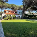 Pinea Mare