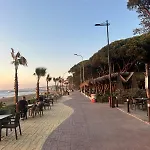 Pinea Mare