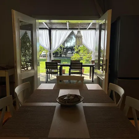 Pinea Mare * Golem (Tirana)