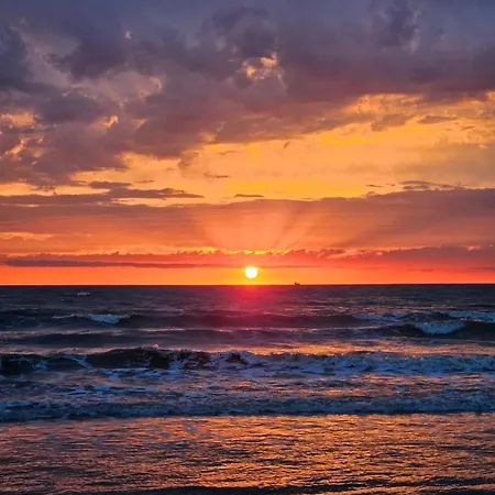 Pinea Mare Villa Golem (Tirana)