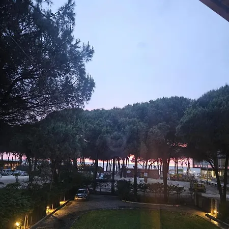 Pinea Mare * Golem (Tirana)