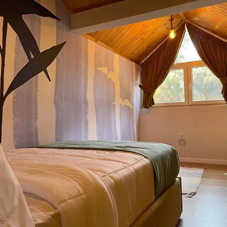Villa Pinea Mare *
